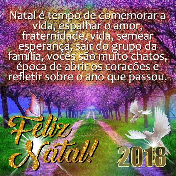 Grupo Natal com Amor